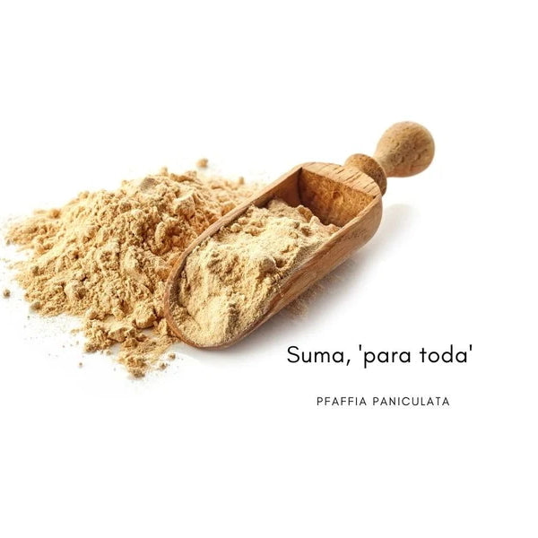 Anima Mundi Suma: Brazilian Ginseng Powder - powder