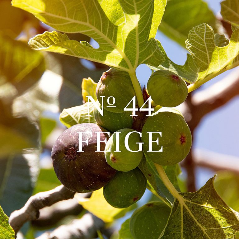 Frau Tonis Parfum No 44 Fig - Mood Fig Tree
