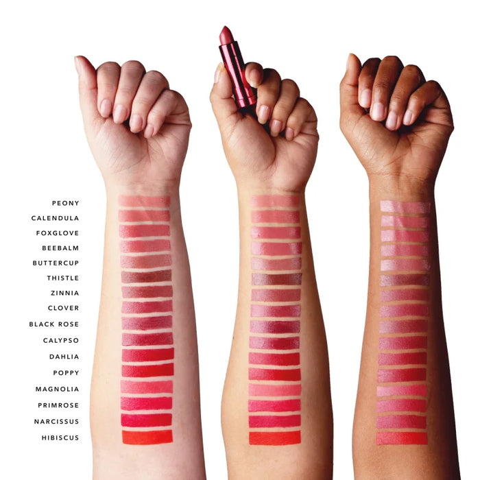 Échantillons de bras de rouge à lèvres anti-âge à l'huile de grenade pigmentée aux fruits