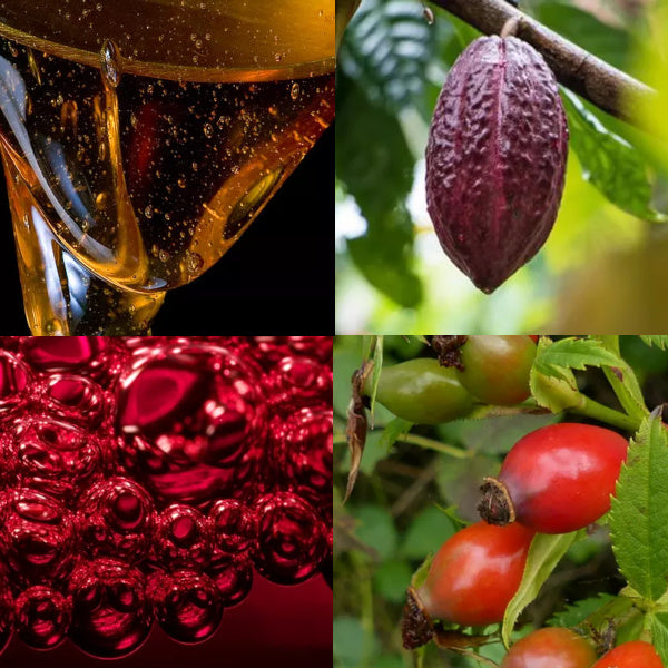 Naturallogic Luna Maschera Biofermentata al Vino Rosso - Ingredienti