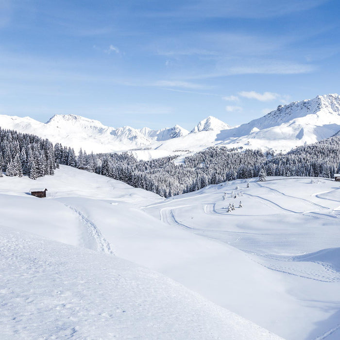 Seifenmacher Paesaggio di Arosa nella neve