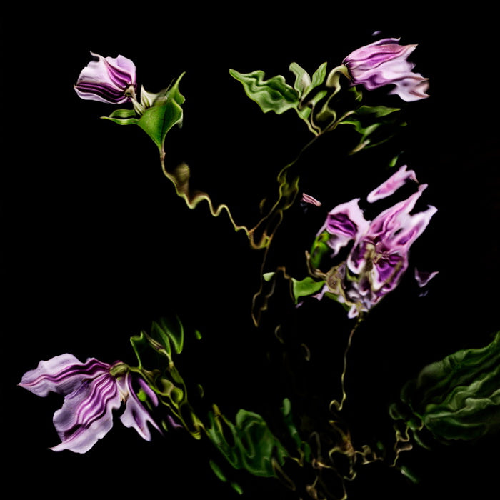 Manasi 7 Accendino stroboscopico Delirio Flower Mood